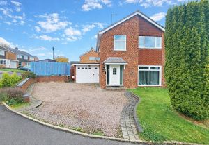 Front- click for photo gallery